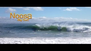 Noosa BIG SURF