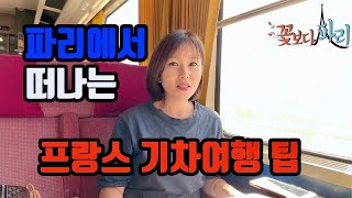 프랑스 기차여행 팁. 파리 베르씨 역에서 디종까지