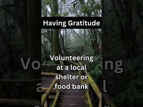 What does the charity Shelter provide?