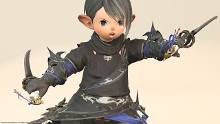 Ninja AF2 (Lv60) equipment \