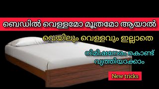 എത്ര അഴുക്ക് പിടിച്ച ബെഡും വെള്ളവും വെയിലും വേണ്ട സിമ്പിൾ ആയി ക്ലീൻ ചെയ്തെടുക്കാംUseful KitchenTips