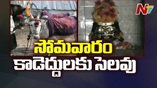 మండే హాలిడే..!! || Special Report On Unique Tradition Followed By Virupapuram Villagers || NTV