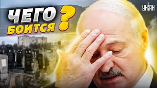 "Больной, старый, замученный". Что напугало Лукашенко до смерти?  - Пьяных