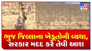 Bhuj : Farmers urge government for support after crop failure | TV9Gujaratinews