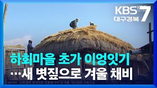 [여기는 안동] 하회마을 초가 이엉잇기…새 볏짚으로 겨울 채비 / KBS  2023.12.20.