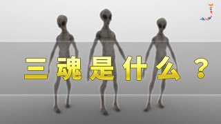 三魂七魄是什么 三魂都在哪些地方 人死后三魂去哪里了？详细解析三魂的灵学知识