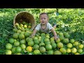 Pick oranges with your child to take to the market - garden - give the baby a bath