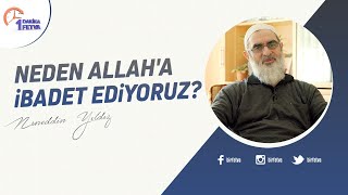 Neden Allah'a ibadet ediyoruz? | [Birfetva-Nureddin Yıldız]