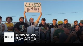 Oakland's love for baseball revived as Ballers secure 1st Pioneer League Championship