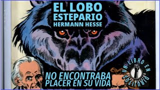 El Lobo Estepario - Hermann Hesse - Un Libro en Dibujitos (resumen para estudiantes)