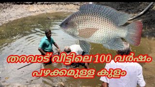 തറവാട് വീട്ടിലെ 100 വർഷം പഴക്കമുള്ള കുളം #cleaning #ponds #gifttilapia