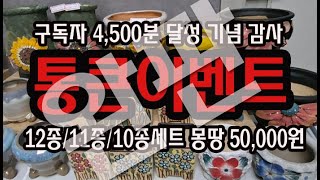 #신비의다육정원 - 완판 감사합니다./구독자 4500분달성 감사 이뱅 통큰이벤트 12종/11종 /10종 몽땅 다~ 50,000원