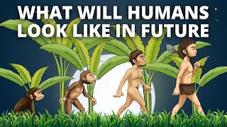 What humans will look like in future? What humans will evolve into? | Evolution, Biology & Tech