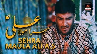 Qasida Imam Ali - Bismillah Sarkar Ali a.s Ka Sehra Hain - Imran Haider - 2019