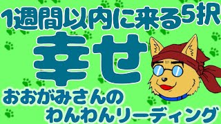 🐶まもなくやってくる素敵な流れ！１週間以内に来る「幸せ」！おみくじっぽい「５択」リーディング🐶わんこたちに聞く🐶おおがみさんのわんわんリーディング【タロット・オラクルカードリーディング】🐶