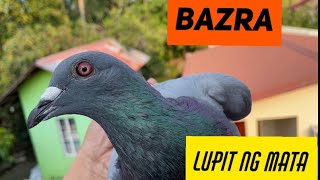 BAZRA LINE, nag- Throwback VLOG #18