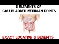 5 Elements of Gallbladder Meridian Points I Exact Location