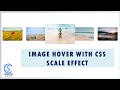 CSS Image Hover Effect with Scale Effect | HTML CSS | Computer Science