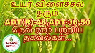 ADT(R)-48,ADT-36,50 நெல் ரகம் பற்றிய தகவல்கள் ..