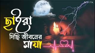 আগলে রাখার মানুষটা আর নাই