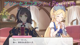 【プリコネR】騎士君のお見舞いにこっそり麦しゅわを潜ませてくるユカリ姉さんｗ CV:今井麻美 [Princess Connect!Re:Dive]