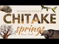Eight nights at Chitake Springs in Mana Pools National Park | September 2023 Trip Report