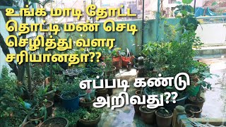 உங்க தொட்டி மண் வளமானதா?