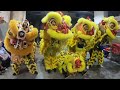 新加坡勁興龍狮院singapore jin heng lion dance cai qing performance at 唵佛蓮善壇 on 26 nov 2023