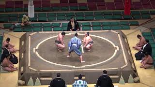 阿部桜-鬨龍/2017.9.10(42)/abezakura-tokiryu/day1 #sumo