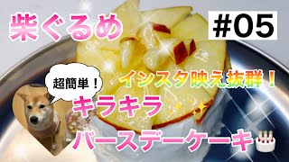 【柴犬】柴ぐるめ「超簡単！犬用キラキラバースデーケーキの作り方！」インスタ映え抜群！