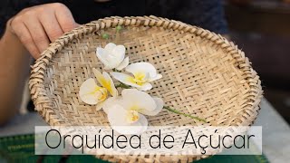 Flor de açúcar - Orquídea de açúcar