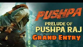 Pushpa trailer | Allu Arjun Pushpa grand entry #short #AlluArjun