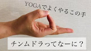 ホットヨガスタジオJOYFITYOGA　ヨガのお話＃２　ムドラについて