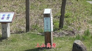 新温泉町　上山高原