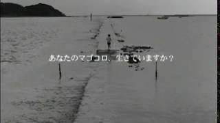 公益社団法人ACジャパン＿「生きていたマゴコロ」