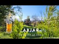 『開香聞』 The Spirit of Dubai 杜拜精神 Abjar 阿拉伯馬淡香精 EDP 90ml @qemgirl 沛杰股份有限公司