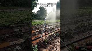 irrigation_Yuzuak  Atom 40 Big gun/rain gun sprinkler#0719206000 #irrigation #umwagiliaji #yuzuak#tz