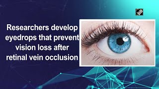 Researchers develop eyedrops that prevent vision loss after retinal vein occlusion