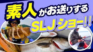 「スーパーライトジギング」って検索するとメーカーの動画ばかり出るので素人のSLJを動画にしました！【素人SLJ/前編】