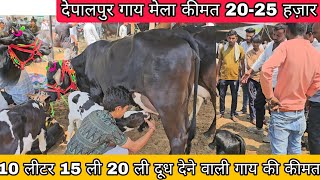 #देपालपुर 14/5/24 पशु हॉट मंगलवार जहां गाय सस्ते दाम में मिलती है #depalpur cow_mandi mp @Narendra