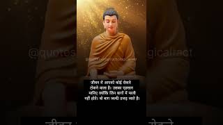 best hindi lord Buddha motivation quotes || quotes blow your mind #shorts #success #motivation