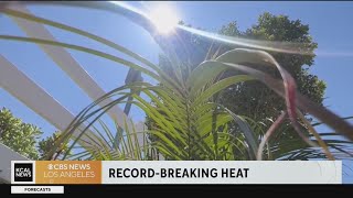 Globe has warmest June on record by far, early data shows