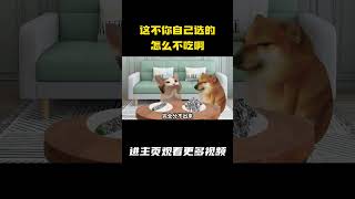 这不你自己选的？怎么不吃啊 #cheems #搞笑 #情侣日常