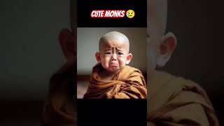 Cute Monks are always Funny 😂💕😘🌺🌹🌾#japan #baby #cute #amerca #funny #shorts