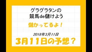 グラグラタンの競馬予想？！　３月１１日（日）分