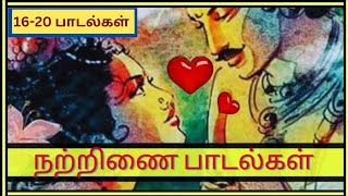 நற்றிணை பாடல்கள் 16-20| nattrinai padalgal in Tamil | thamizh vilakkam| #thamizhvilakkam #nattrinai