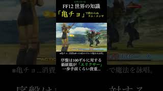 【FF12TZA】「亀のチョーカー」【 いろいろ解説】(月曜〜土曜で投稿予定！)#ff #ff12 #弱くてニューゲーム