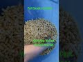 How it’s Made Puff Snacks Double Screw Extruder Puff Bars Twin Screw Extruder Corn Puffs Machine