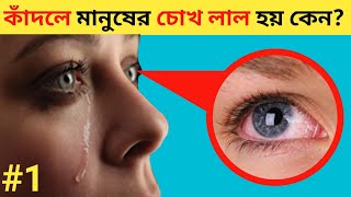 মানুষ কাঁদলে চোখ লাল হয় কেন?  Sr fact box  #interestingfact #Randomfacts #factsbangla