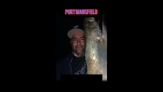 Port Mansfield Kayak Fishing